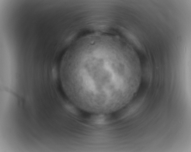 X0000113860131200910011029