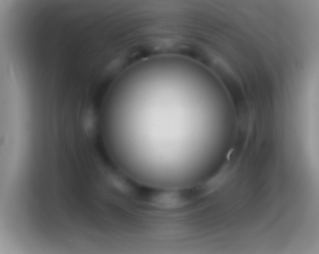 X0000113860132200910011029