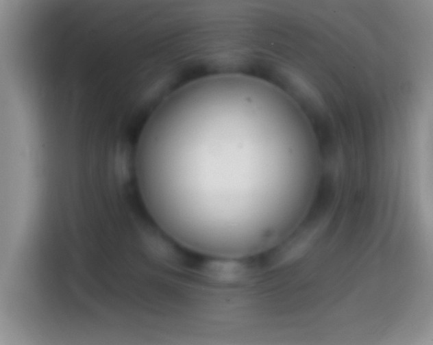 X0000113860133200910011029