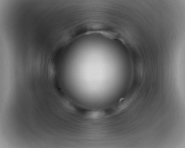 X0000113860135200910011029