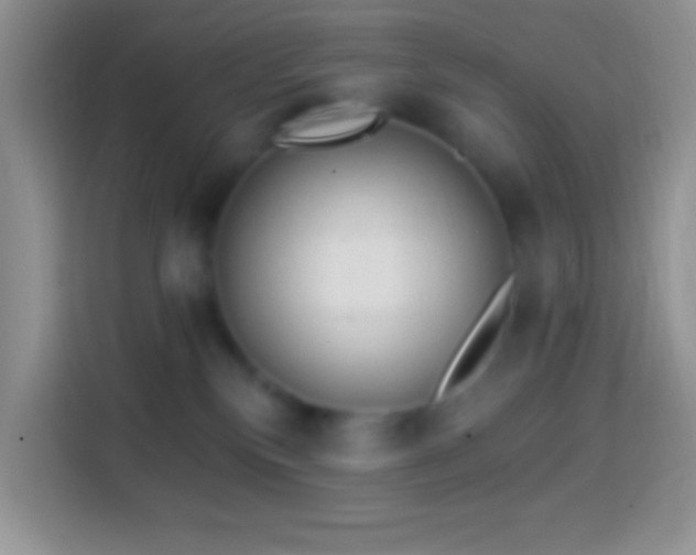 X0000113860136200910011029