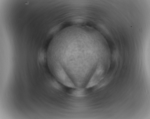 X0000113860138200910011029