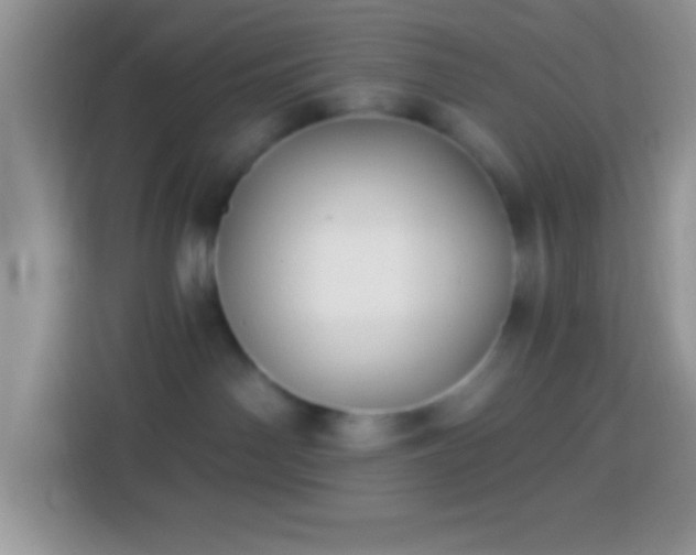 X0000113860142200910011029