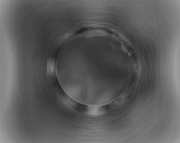 X0000113860143200910011029