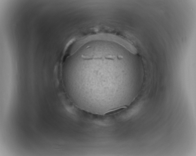 X0000113860144200910011029