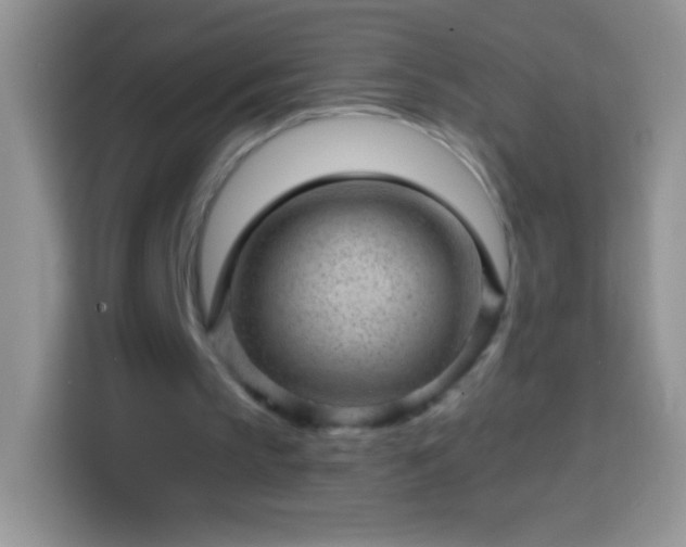 X0000113860145200910011028