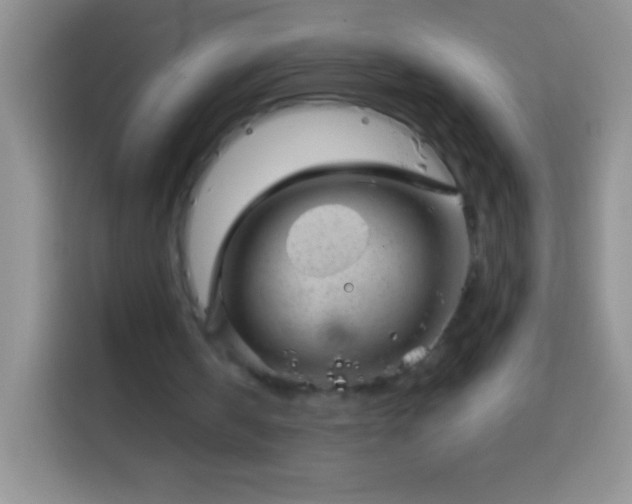 X0000113860146200910011028