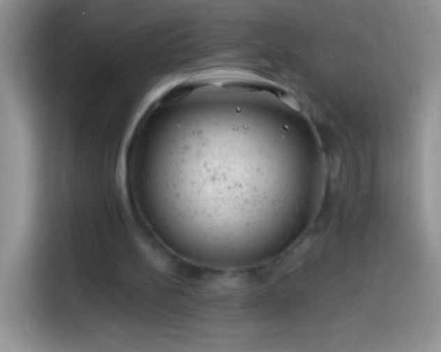 X0000113860148200910011028