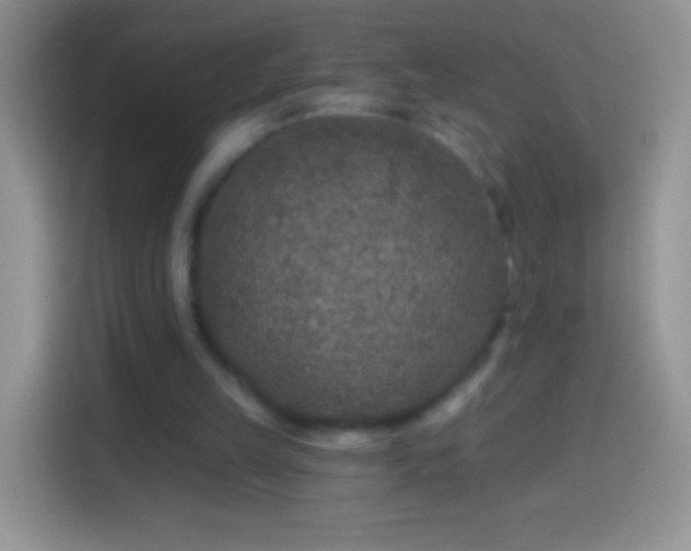 X0000113860149200910011028
