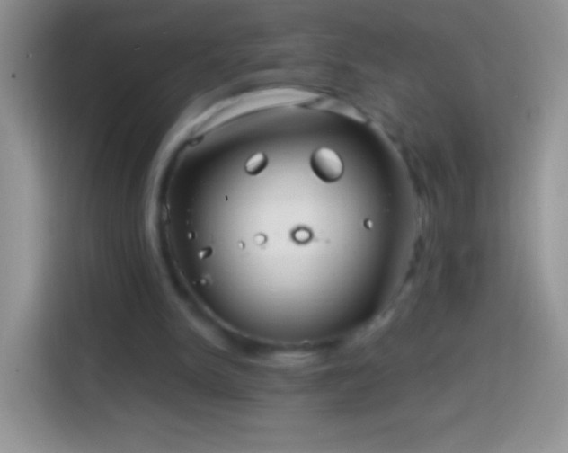 X0000113860150200910011028