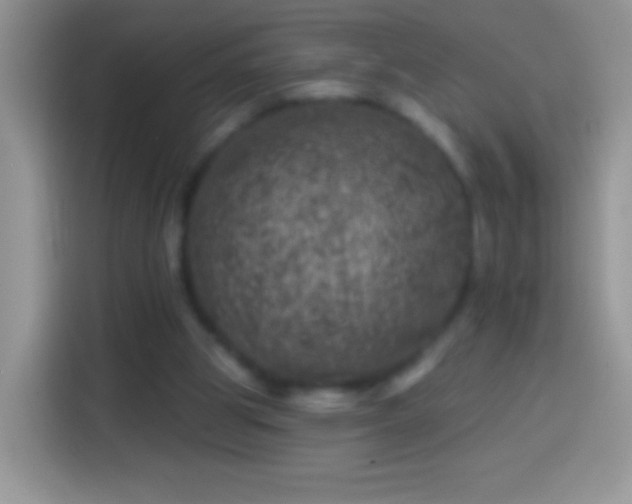 X0000113860153200910011028