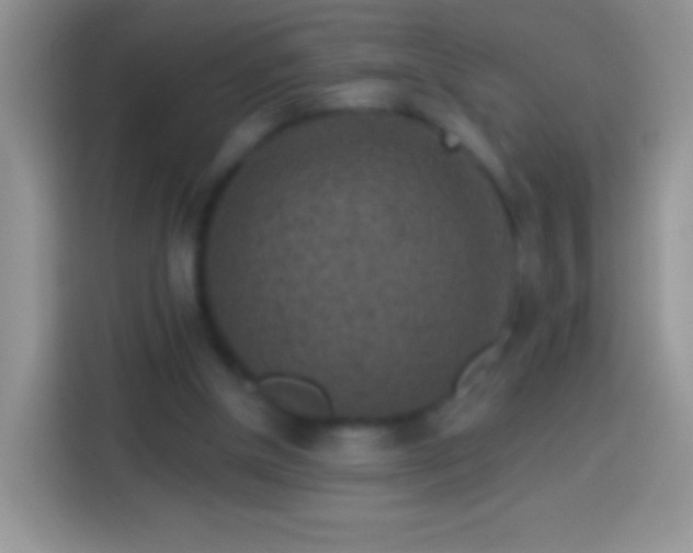 X0000113860154200910011028