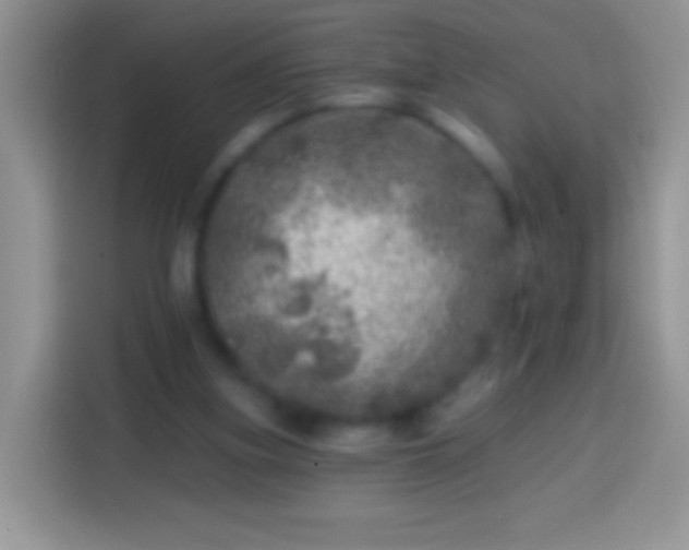 X0000113860155200910011028