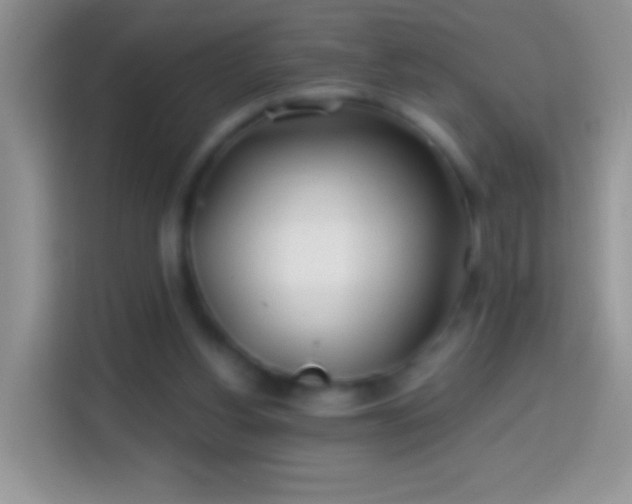 X0000113860156200910011028