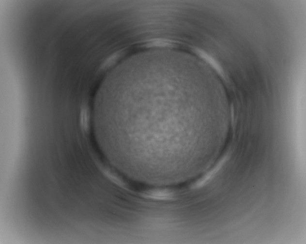 X0000113860157200910011028