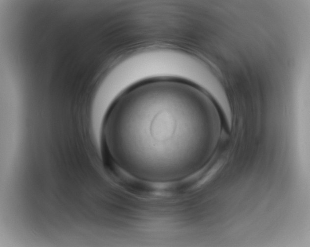 X0000113860158200910011028