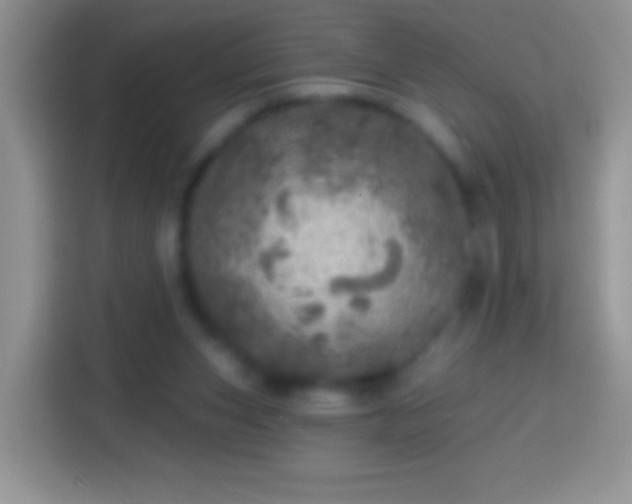 X0000113860159200910011028