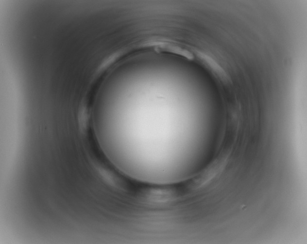 X0000113860160200910011028