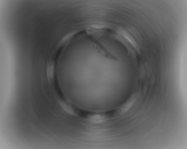 X0000113860163200910011028