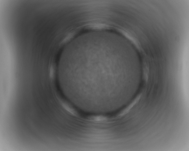 X0000113860165200910011028
