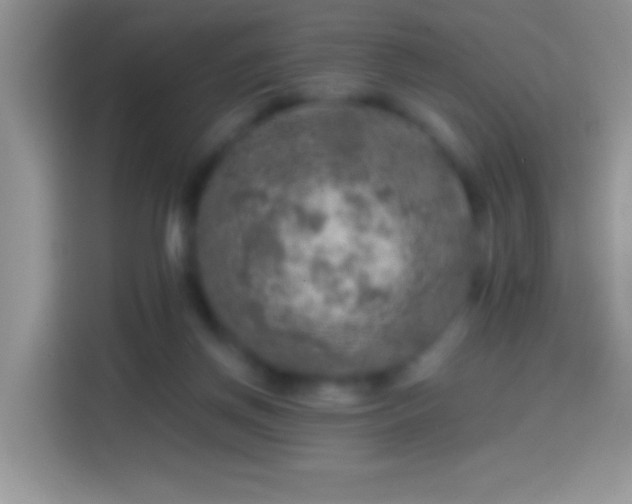 X0000113860166200910011028