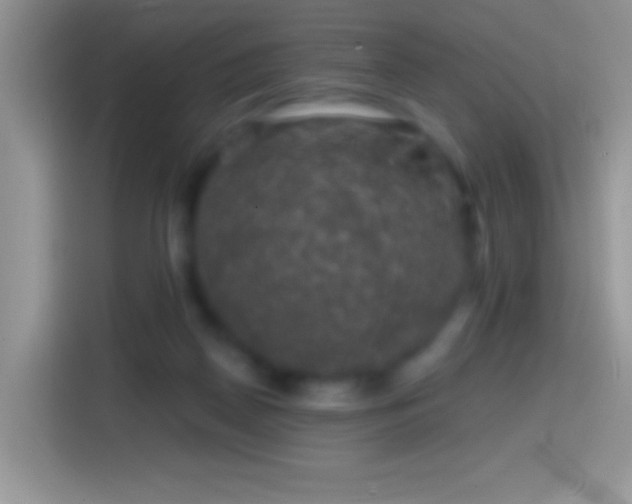 X0000113860170200910011028