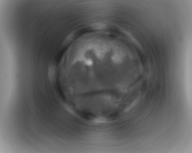 X0000113860171200910011028