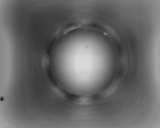 X0000113860172200910011028
