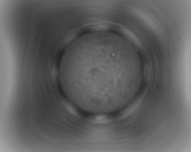 X0000113860173200910011028