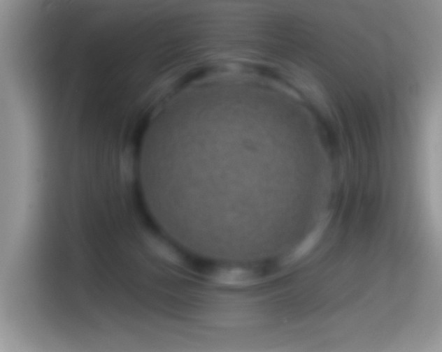 X0000113860174200910011028