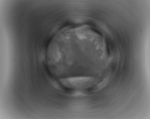 X0000113860175200910011028