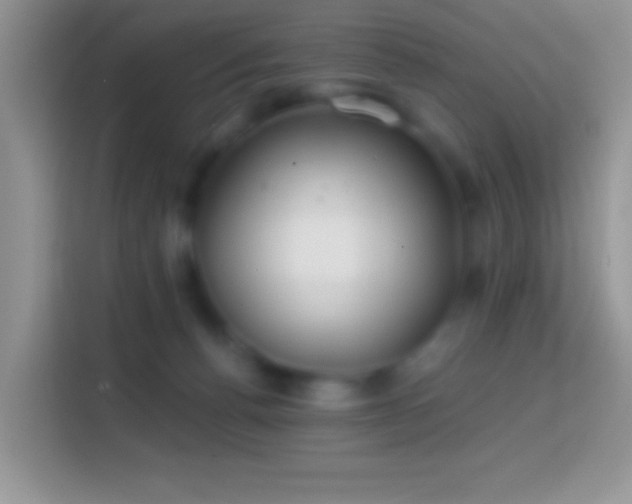 X0000113860176200910011028