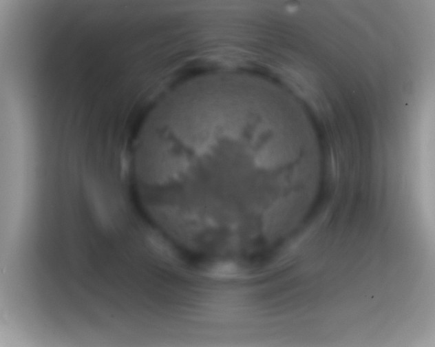 X0000113860177200910011028