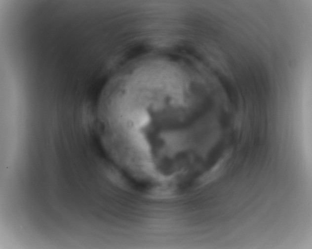 X0000113860179200910011028