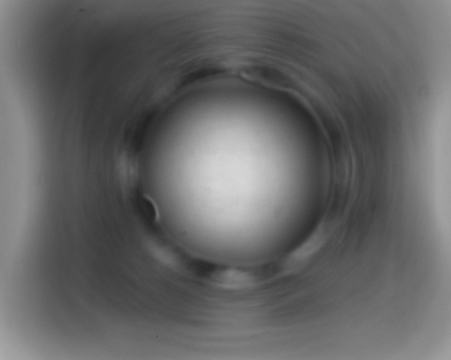 X0000113860180200910011028