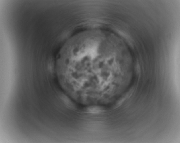 X0000113860181200910011028