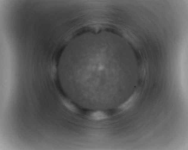 X0000113860183200910011028