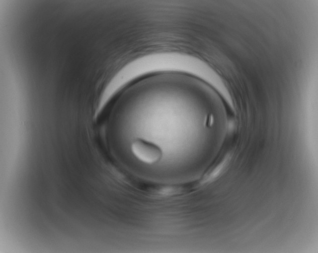 X0000113860184200910011028