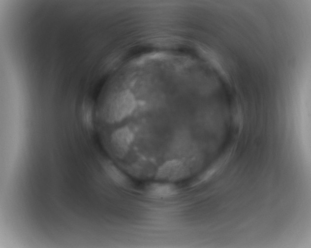 X0000113860185200910011028