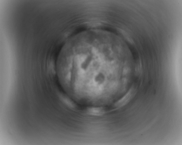 X0000113860187200910011029