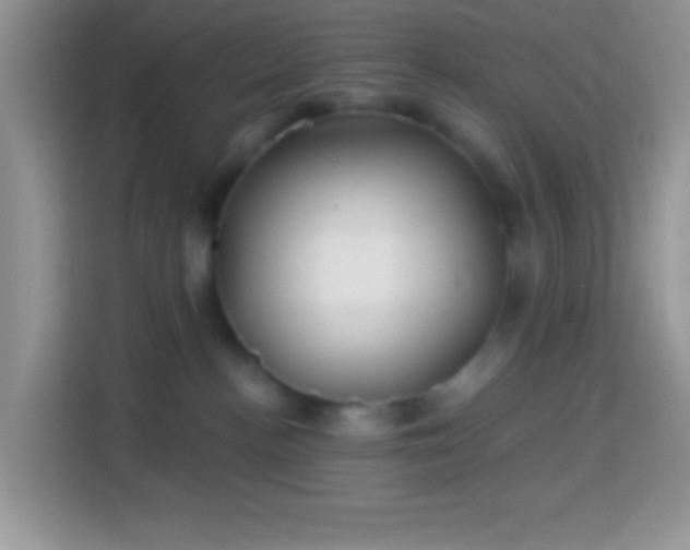 X0000113860188200910011029