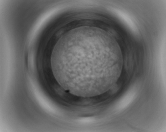 X0000113860189200910011029