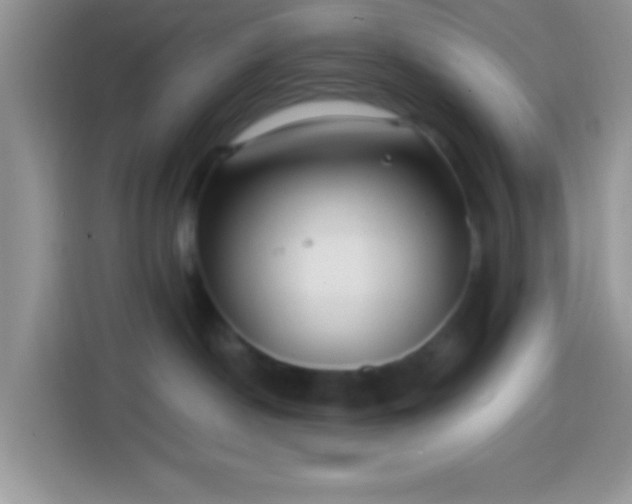 X0000113860190200910011029