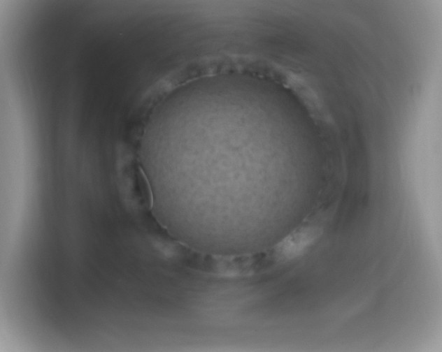 X0000113860192200910011029