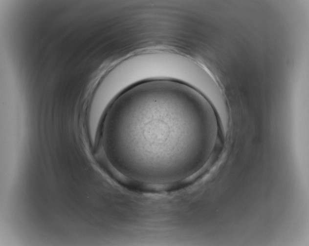 X0000113860193200910011028
