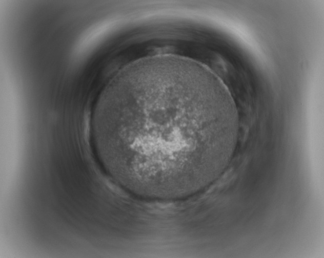 X0000113860194200910011028