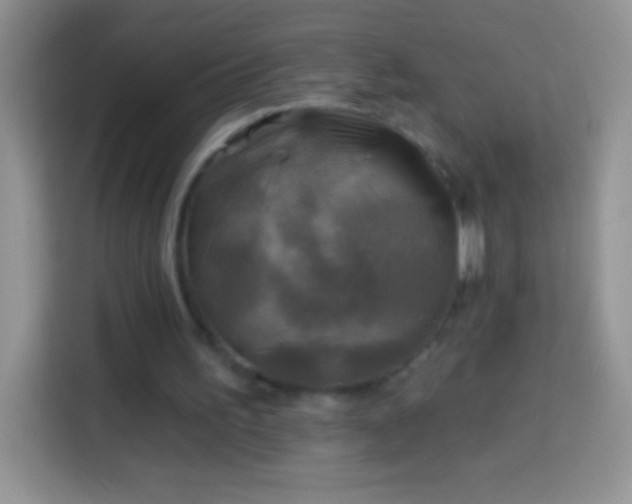 X0000113860195200910011028