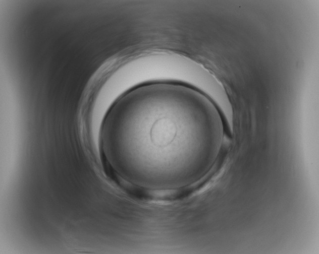 X0000113860197200910011028