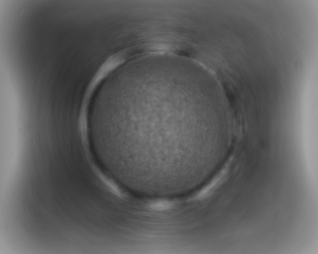 X0000113860198200910011028