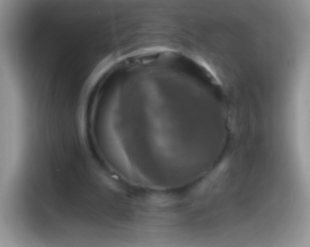X0000113860199200910011028